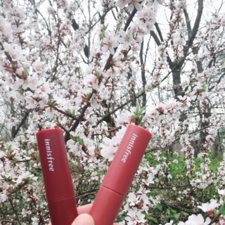 Son Innisfree Vivid Cotton Ink