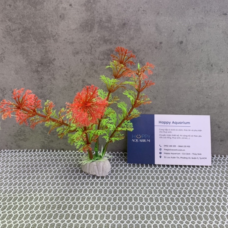 Cây rong nhựa trang trí bể cá 5k/cây
