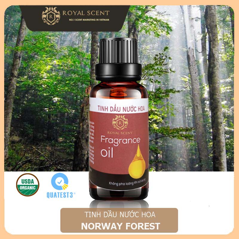 Tinh dầu nước hoa Norway Forest Fragrance Oil