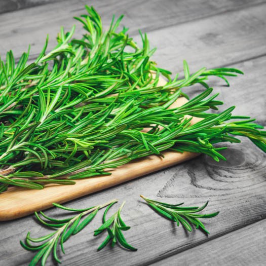 Cây hương thảo rosemary size nhỏ thân to sống khỏe (ảnh thật) hương thơm giúp giảm căng thẳng, đuổi muỗi & làm gia vị