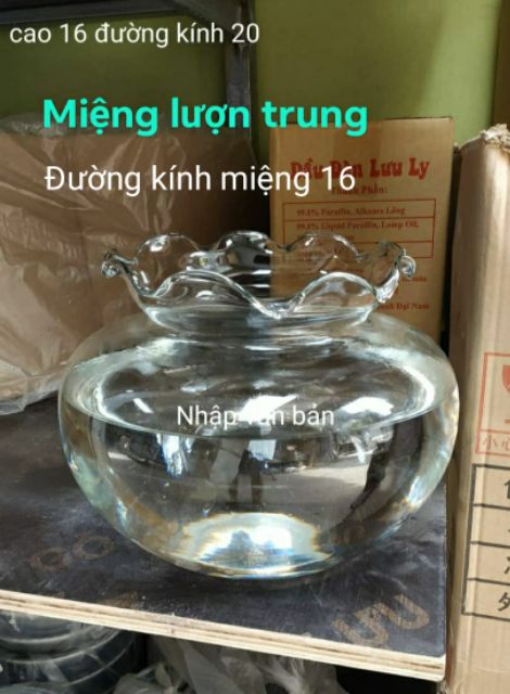 Bể cá thủy tinh mini để bàn