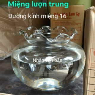 Bể cá thủy tinh mini để bàn tai bèo