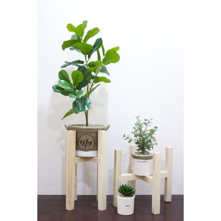 [Cây giả cao cấp] Set chậu cây bàng non singapore
