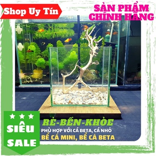 Bể cá beta mini - hồ cá mini để bàn, tặng sỏi 3 màu trang trí.