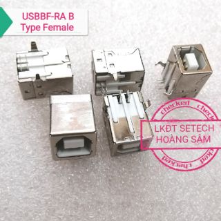 Cổng USB A Type B Type mini USB 1 chiếc