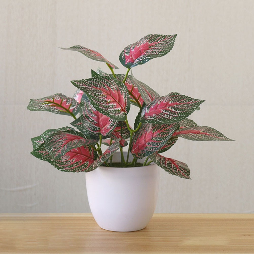 Chậu Cây Giả Để Bàn Trang Trí Nhà Cửa / Văn Phòng / Tiệc Cưới