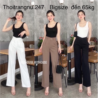 Quần ống suông dài 2ly 3100
