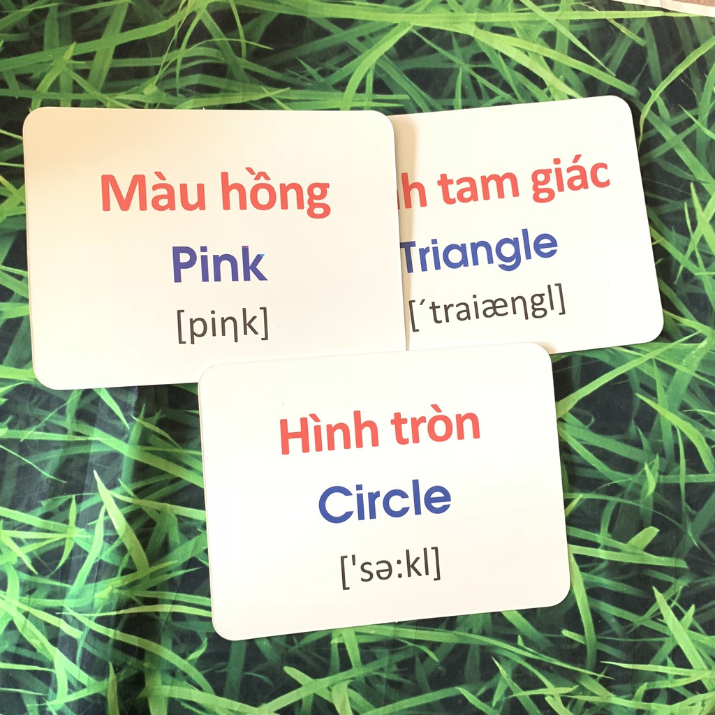 Thẻ Học Thông Minh Song Ngữ Anh-Việt 10 Chủ Đề Theo Phương Pháp Glenn Doman