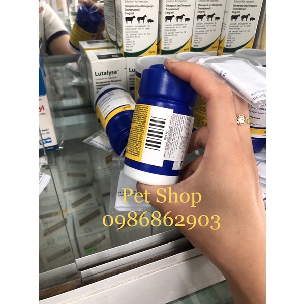 Doramectin ve ghẻ cho thú cảnh, chó , mèo lọ 50ml