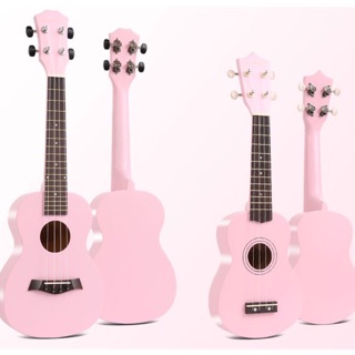 ẢNH THẬT - ĐÀN UKULELE CONCERT VÀ SOPRANO HỒNG NHẠT