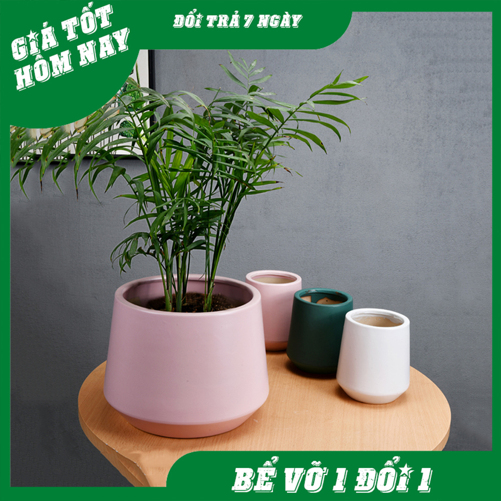 Chậu để bàn mini kim cương , chậu tiểu cảnh , chậu sứ trồng cây sương rồng , sen đá terarium - vinxanh , vin xanh