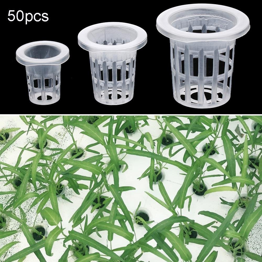 HECCEH 10 / 50 Chậu Trồng Cây Thủy Canh Không Cát