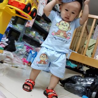 Áo cộc cài vai