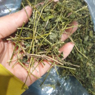 Trà giảo cổ lam Hà Giang 1kg