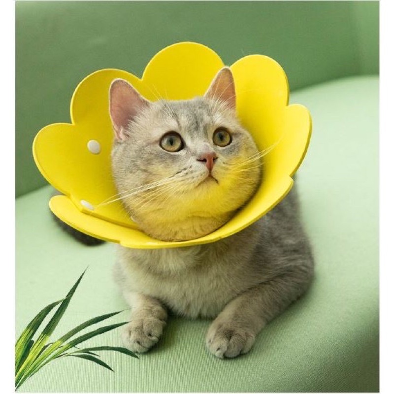 Loa chống liếm cho CHÓ MÈO bằng xốp hình bông hoa hướng dương dễ thương cute màu hồng màu vàng