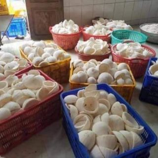 Dầu dừa Bến Tre hũ 100ml thơm lừng