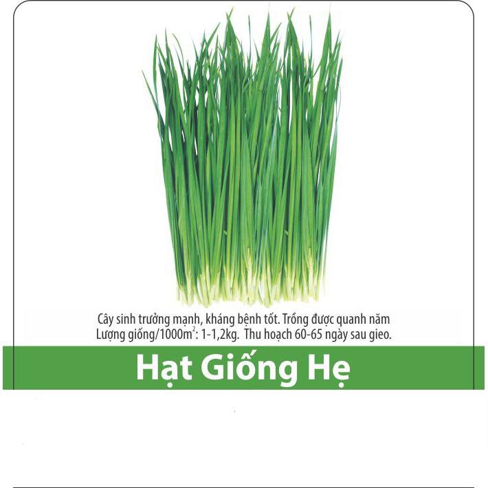 Hạt Giống Hẹ Cao Sản, Chất Lượng Cao 1gr