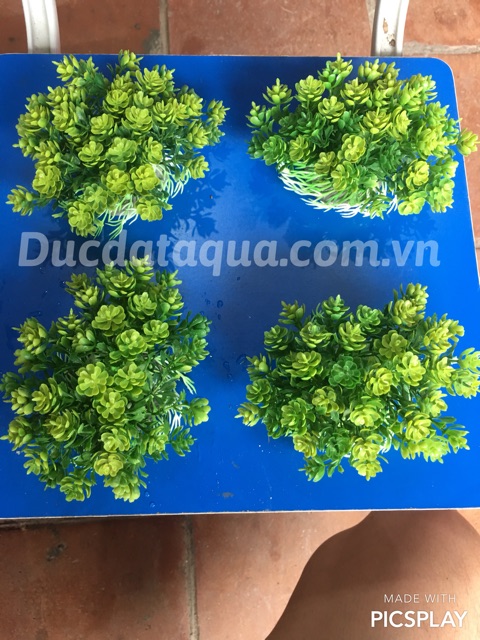 Cây nhựa trang trí , nội thất , bể cá