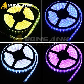Đèn LED cuộn 5050 không keo | Nhiều màu sắc