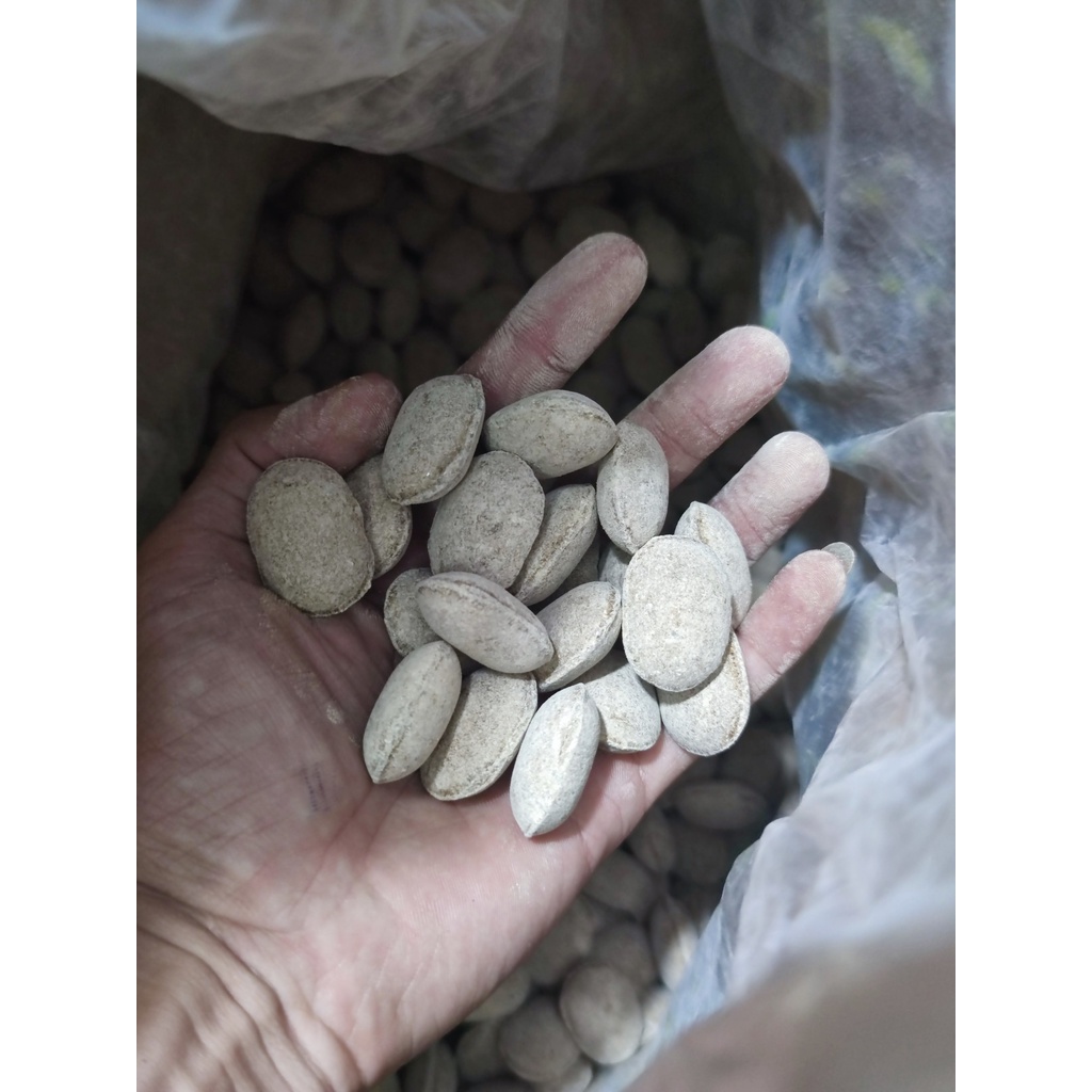 Phân hạt bàng nhật npk 12-6-6 gói lẻ 500gr