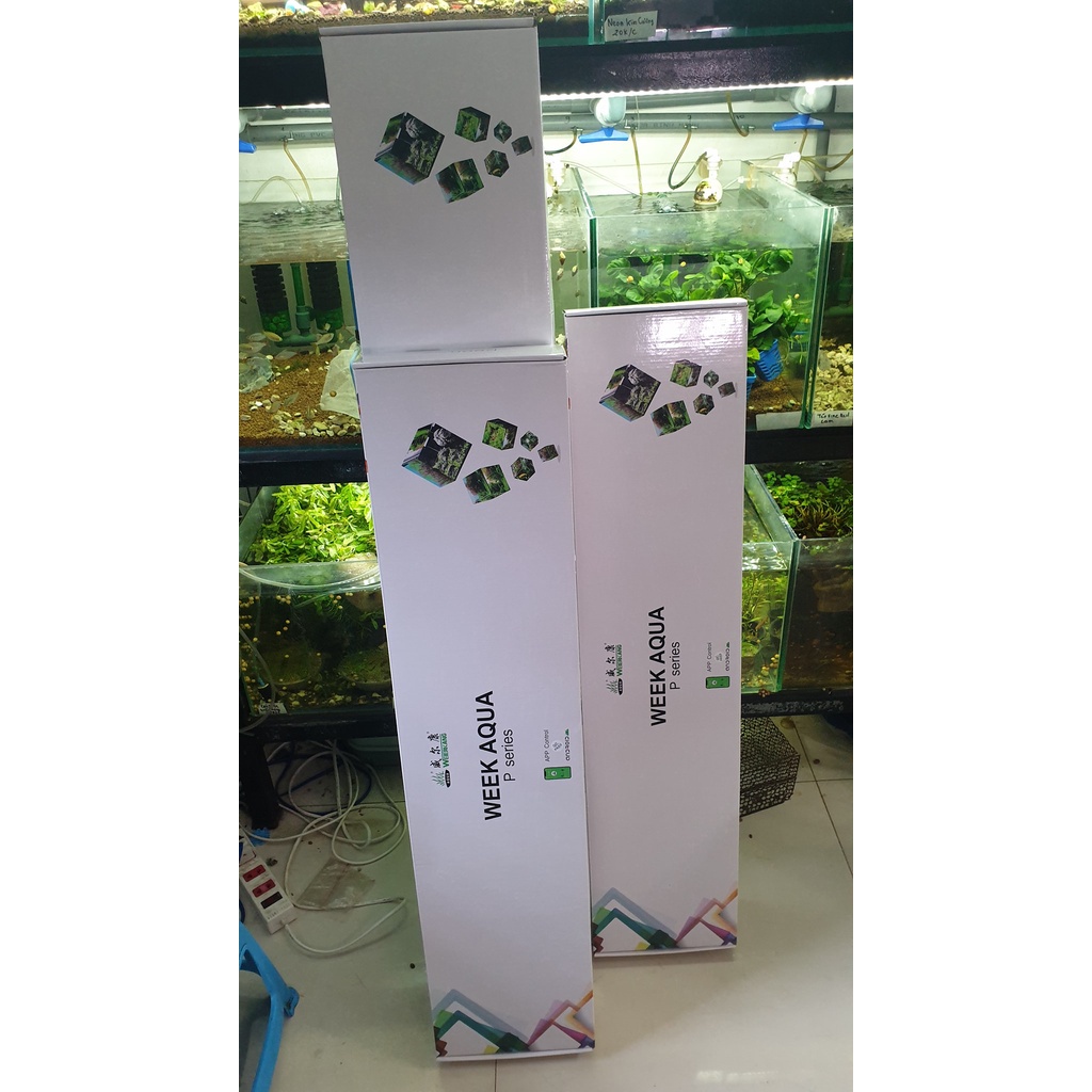 Đèn Led Week P Pro RGB-UV cao cấp, phiên bản mới nhất - đánh màu cây và cá siêu đỉnh cho hồ thuỷ sinh, hồ cá