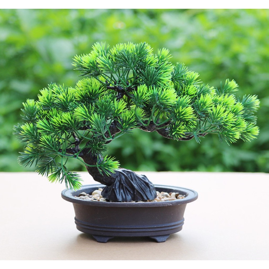 Chậu cây cảnh giả, cây thông bonsai xanh mát giống thật trang trí bàn, kệ tủ, tiểu cảnh Anzzar-02