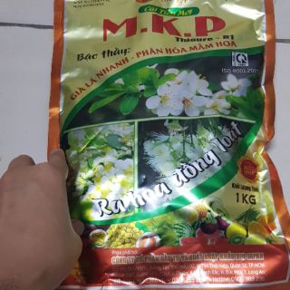 Phân bón vi lượng mkp biojapan