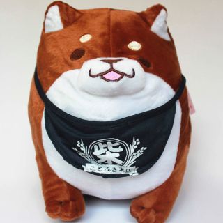 [ FREE SHIP ĐƠN 50K ] Set thú nhồi bông chó siba