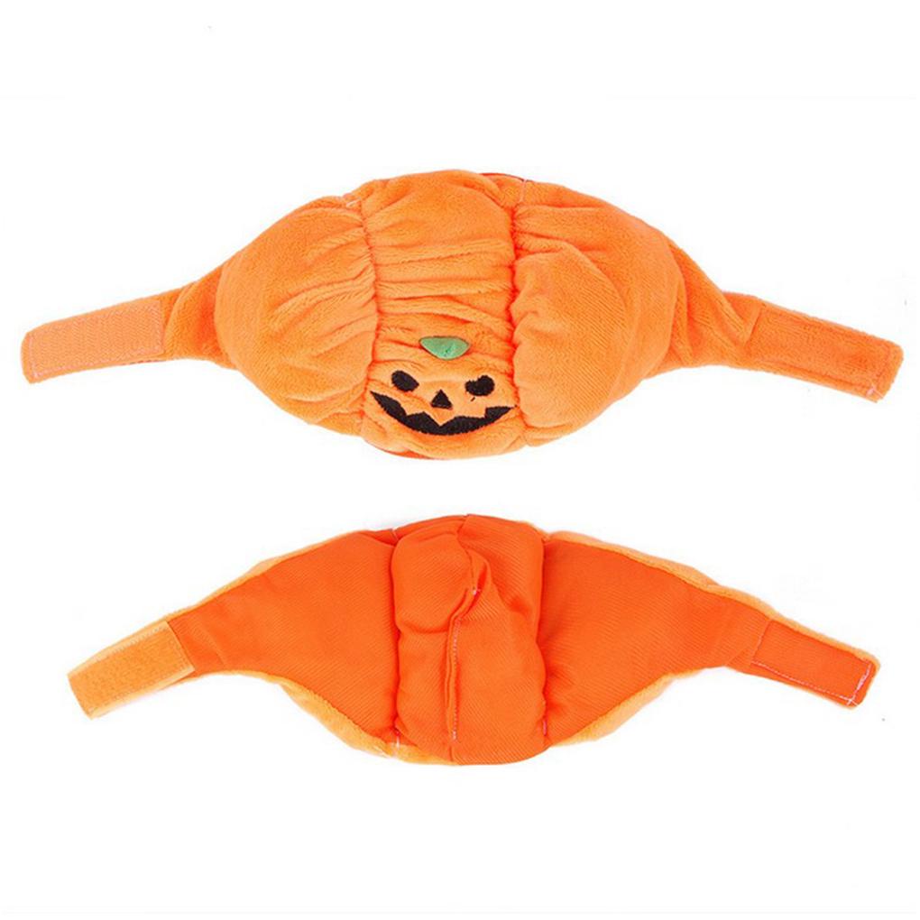 Mũ Bí Ngô Halloween Cho Thú Cưng