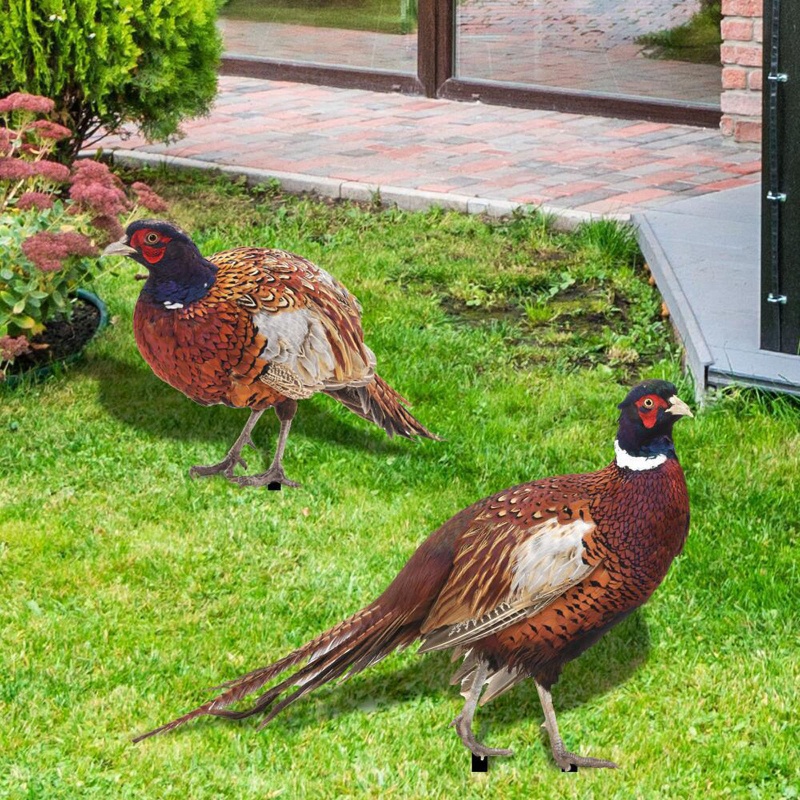 Mô Hình Tượng Động Vật Pheasants Dùng Trang Trí