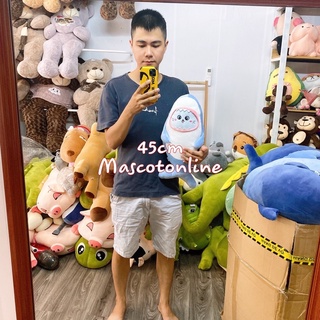 GẤU BÔNG CÁ MẬP MẶT MÈO ĐỦ SIZE 1M1