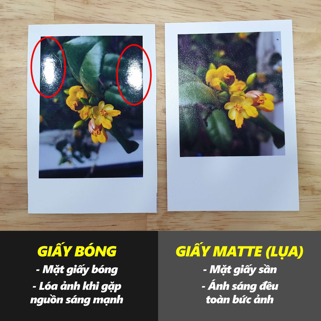 COMBO 10 ẢNH Polaroid 6x9cm giấy glossy, matte. Rửa hình - In hình chất lượng cao