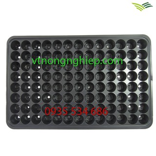 combo 5 khay nhựa ươm cây 104 lỗ