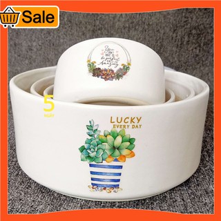 Chậu sứ bẹt Decal in hình dễ thương - Chậu trồng cây cảnh, Sen đá, xương rồng, tiểu cảnh
