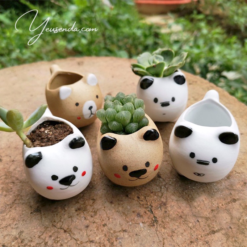Chậu sen đá mini 5x7cm Gấu con dễ thương
