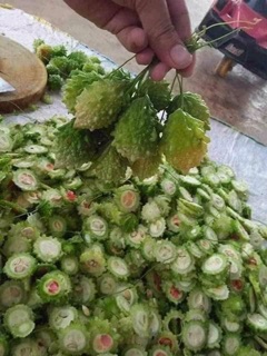 Mướp đắng( khổ qua rừng)