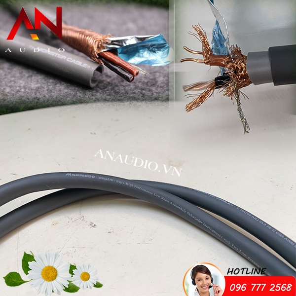 Dây Balance bãi Mỹ Monster - Jack Palic 1m