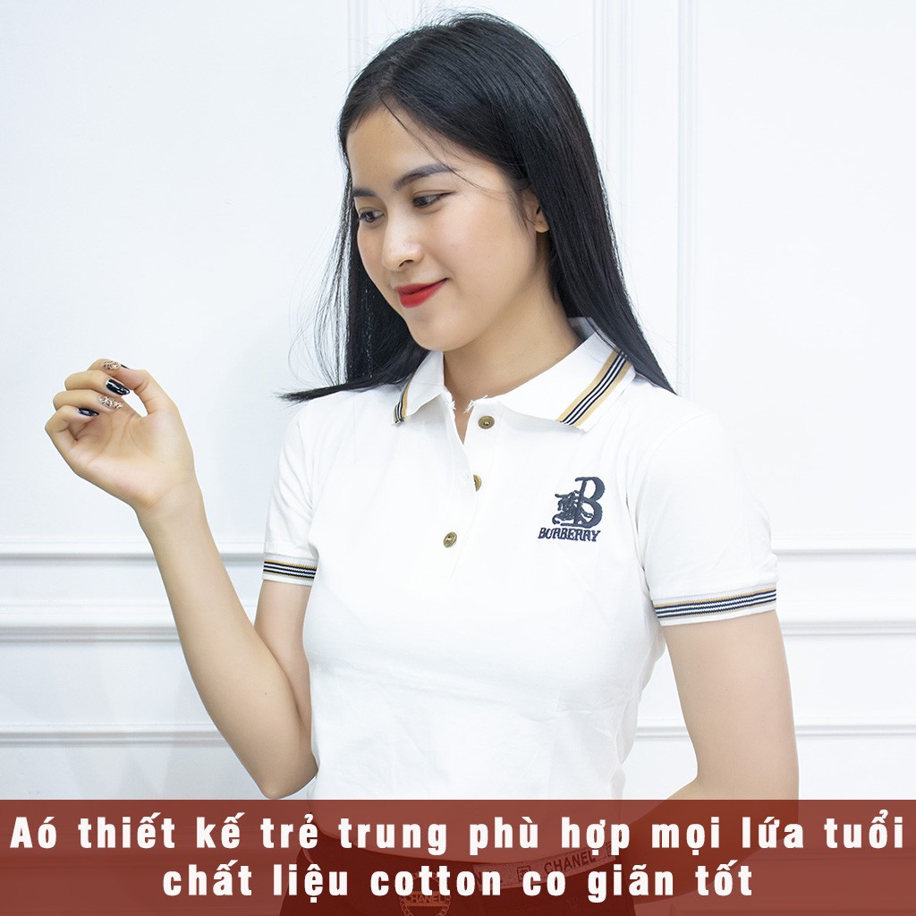 Áo polo nữ phông trơn có cổ sơ mi form vừa thoải mái AMYRA - Áo phông nữ có cổ Polo trơn tay ngắn cổ bẻ Bassic at017 | BigBuy360 - bigbuy360.vn