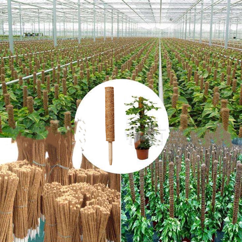 Thanh xơ dừa trồng cây/ hoa dây leo/cây thìa là tiện lợi