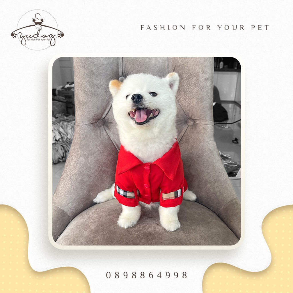 Đầm phom suông yudog phối cho thú cưng chó mèo