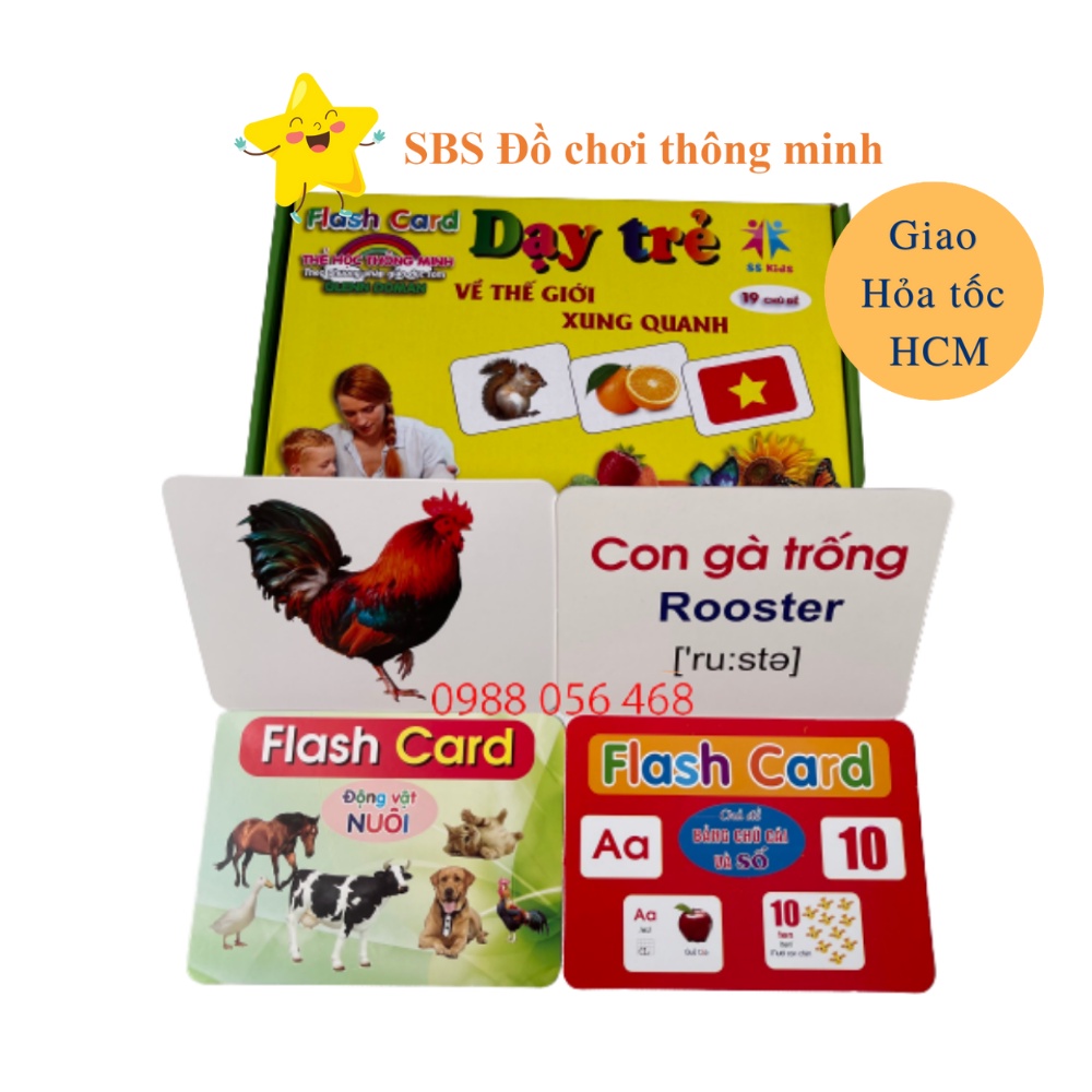 Thẻ học thông minh PP Glenn doman dạy trẻ TGXQ 12x16cm 19 chủ đề cho bé Ivory Flashcard