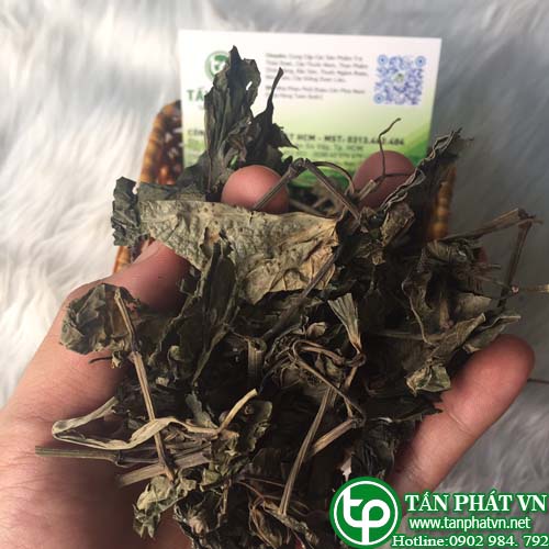 Lá lốt khô - thảo dược Tấn Phát