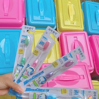Bàn chải hàn quốc 5 k/1 c