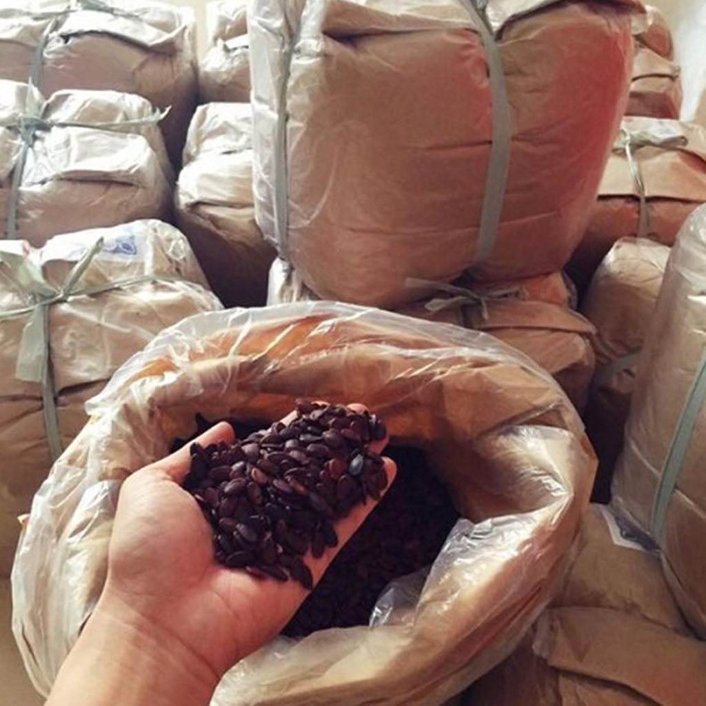 Hạt Dưa Không Phẩm Màu Có Protein Giúp Điều Hòa Huyết Áp Duy Trì Hoạt Động Của Hệ Tiêu Hóa Và Làm Đẹp Da [500G]