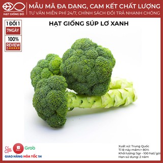 Hạt Giống Súp Lơ Xanh/ Bông Cải Xanh (5gr) - Chứa nhiều chất dinh dưỡng có khả năng chống ung thư - Sinh trưởng đồng đều