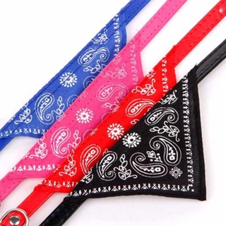 Vòng cổ da Pu dễ thương dành cho thú cưng