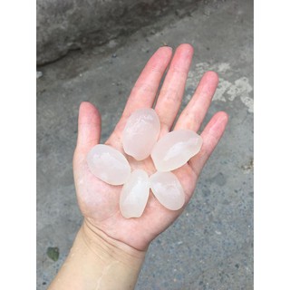 Hạt Đác Nha Trang - 1kg