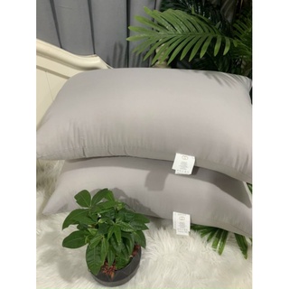 Ruột gối kháng khuẩn 2 chiếc cao cấp loại 1