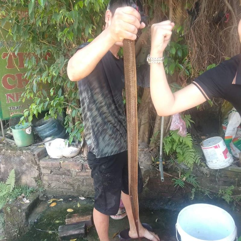 Lưỡi câu lươn đồng chất liệu thép không gỉ , siêu sắc bén ăn là dính
