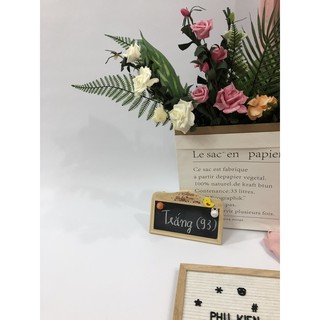 Phông nền chụp ảnh giấy màu paster, màu trắng, nhiều size